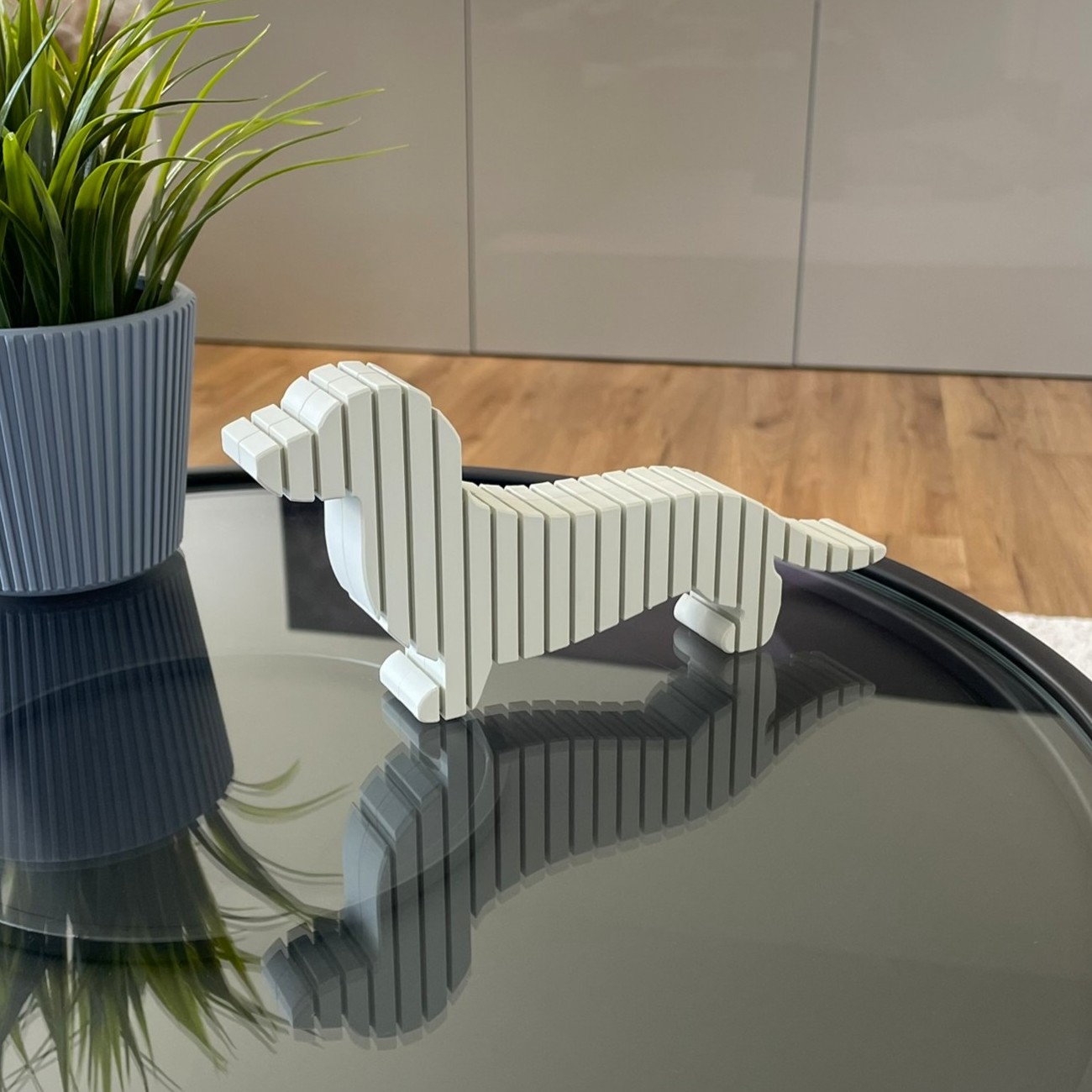 Dackel – Bild 4