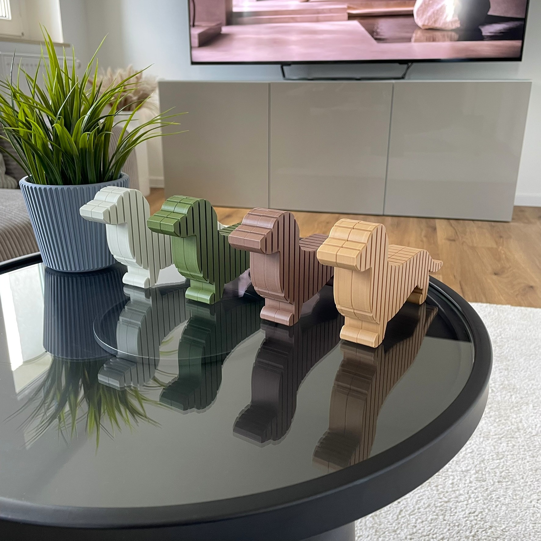 Dackel – Bild 5